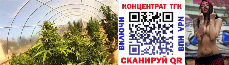 Дистиллят ТГК вейп Камызяк