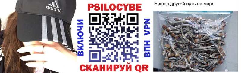 Псилоцибиновые грибы мухоморы  Купить закладки  Камызяк 