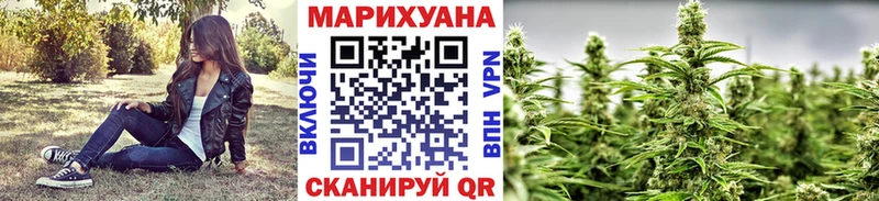 Конопля VHQ  Купить  Камызяк 